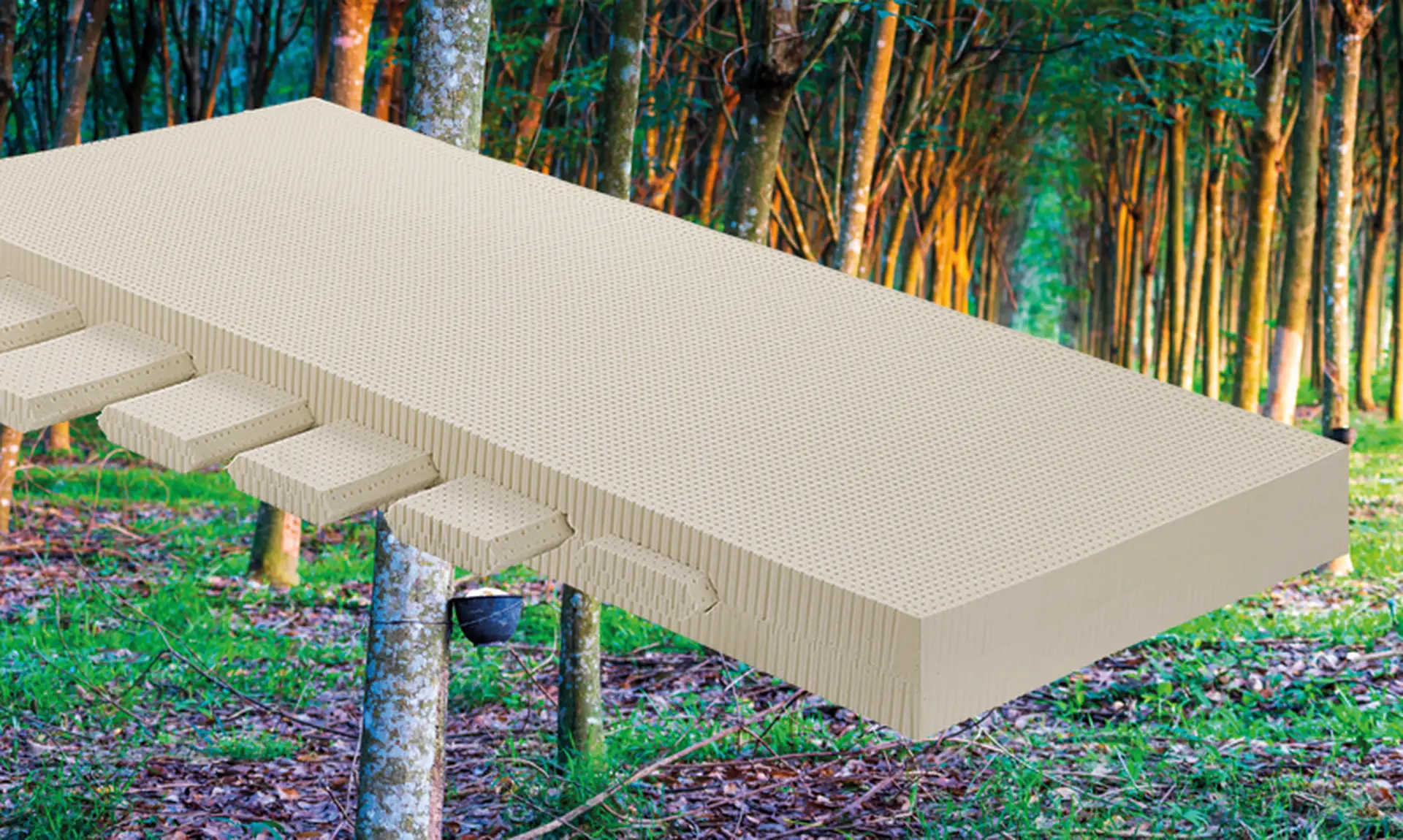 Die neue FLEX-Matratze von RELAX besteht aus 100% Talalay® Naturlatex und zeichnet sich durch die vielfältigen Einstellungs- und Anpassungsmöglichkeiten aus.