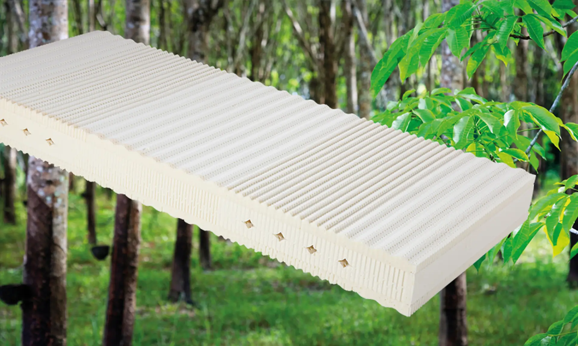 Diese Matratze besteht aus 100% reinem Naturlatex und bietet den perfekten Komfort mit bester Körperunterstützung für mehr Energiegewinn.