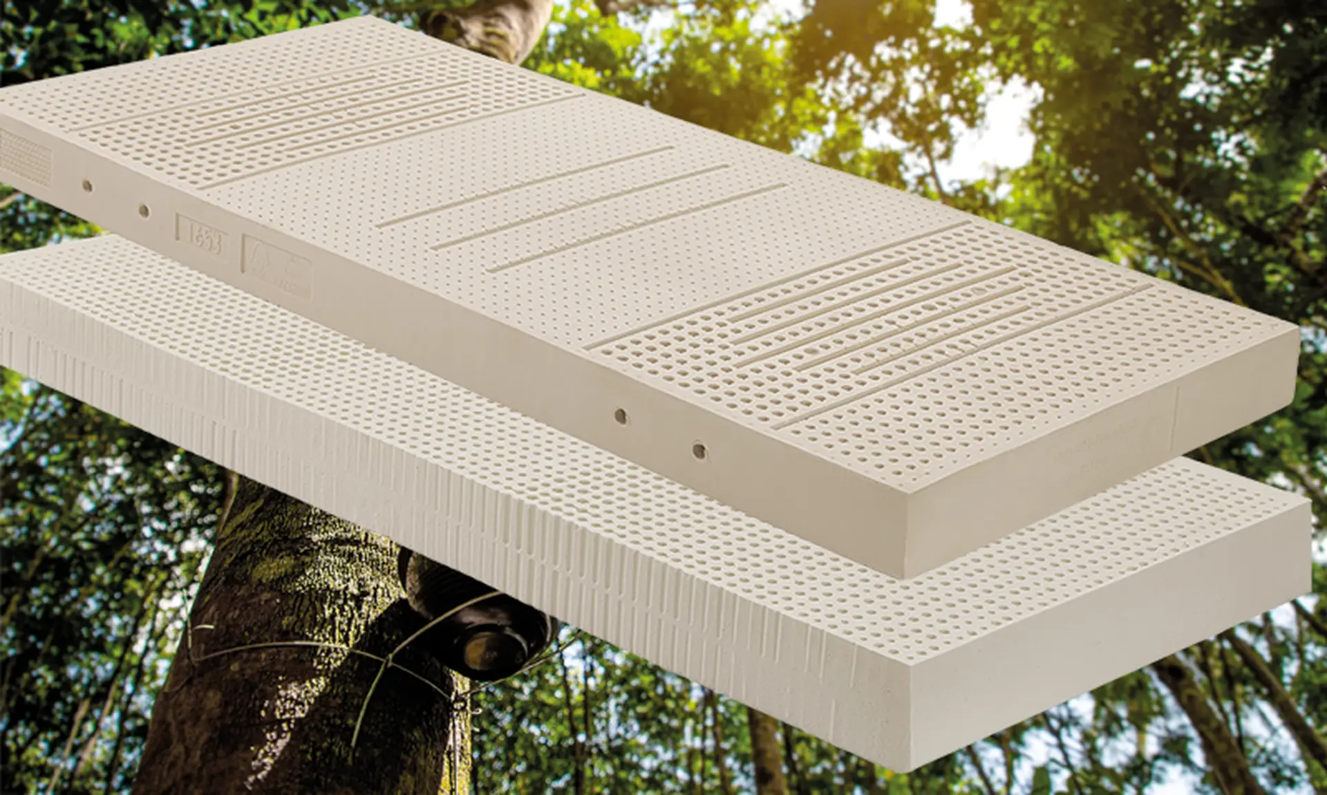 Die RELAX Naturlatex-Matratzen sind zertifiziert und ideal für Ihren gesunden Schlaf.